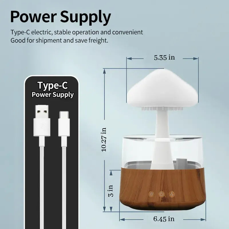 Rain Cloud Humidifier